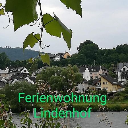 Die Ferienwohnung Lindenhof Zell an der Mosel Bagian luar foto