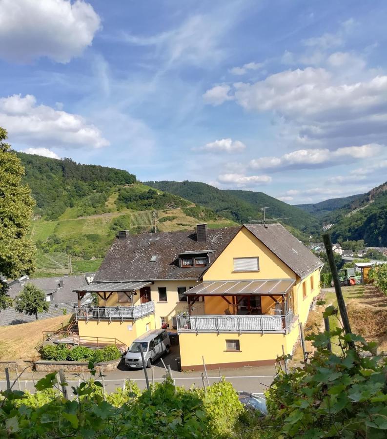 Die Ferienwohnung Lindenhof Zell an der Mosel Bagian luar foto
