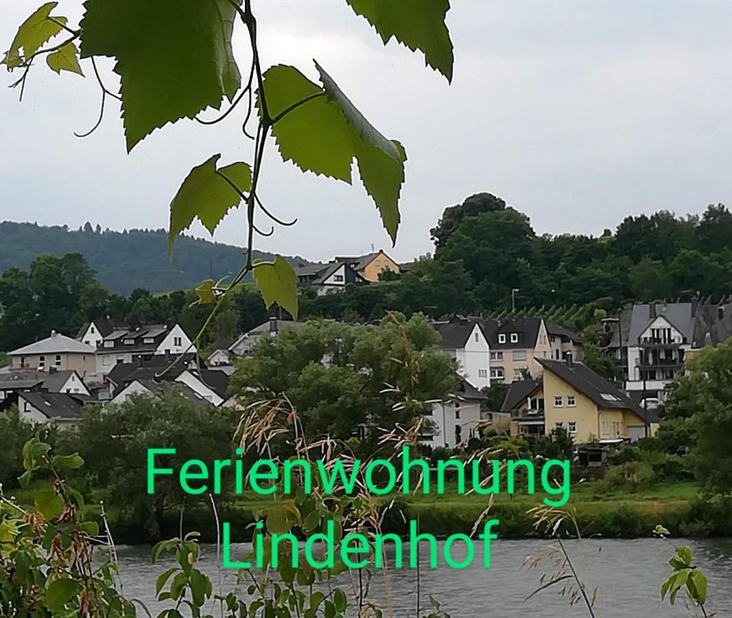 Die Ferienwohnung Lindenhof Zell an der Mosel Bagian luar foto