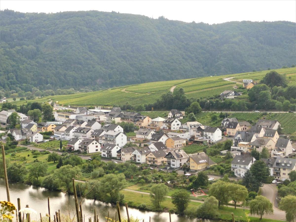 Die Ferienwohnung Lindenhof Zell an der Mosel Bagian luar foto